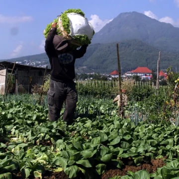 kopdes petani
