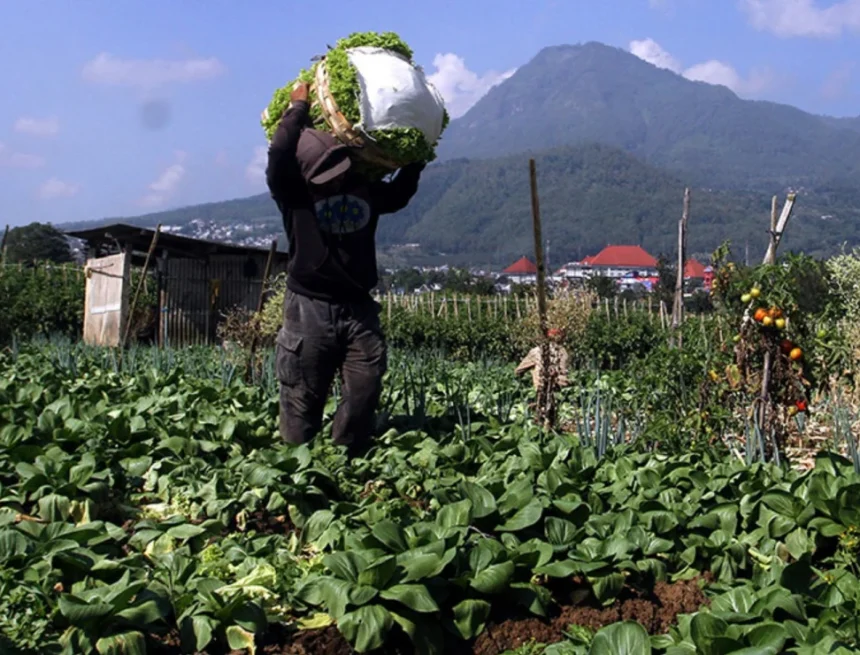 kopdes petani
