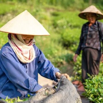 perempuan desa perempuan desa pertanian